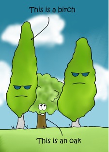 Figure 3: Tree diversity can create huge contrasts in tree size. Smaller trees get protection against their specialist herbivores from taller neighbours.