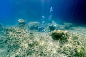 Dr Fiona Tomas and Dr Adriana Vergés setting up feeding preference experiments in barren Adrasan (Turkey), where algal forests are nowhere to be found. (photo credit: Murat Draman).