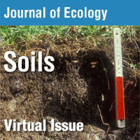 Soils_web ad