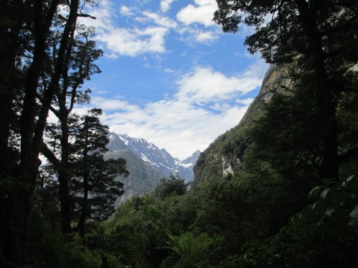 fiordlandview-brandt