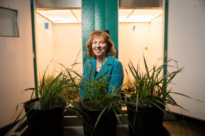 Carolyn Malmstrom, associate professor of plant biology, poses in front of a growth chamber on Monday February 11, 2013.