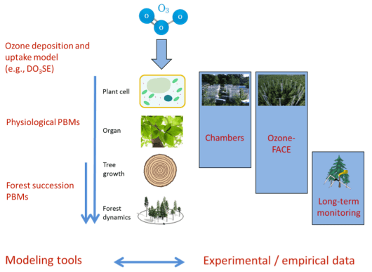 Screen Shot 2018-02-15 at 13.21.48 (2).png