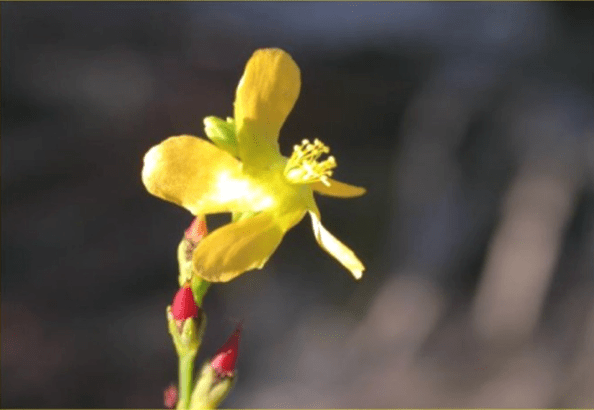 Screen Shot 2018-05-04 at 11.35.12