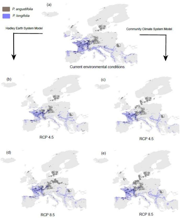 shifting ranges under climate change
