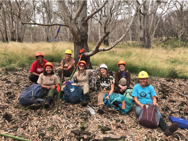 Screen Shot 2019-04-10 at 10.32.40