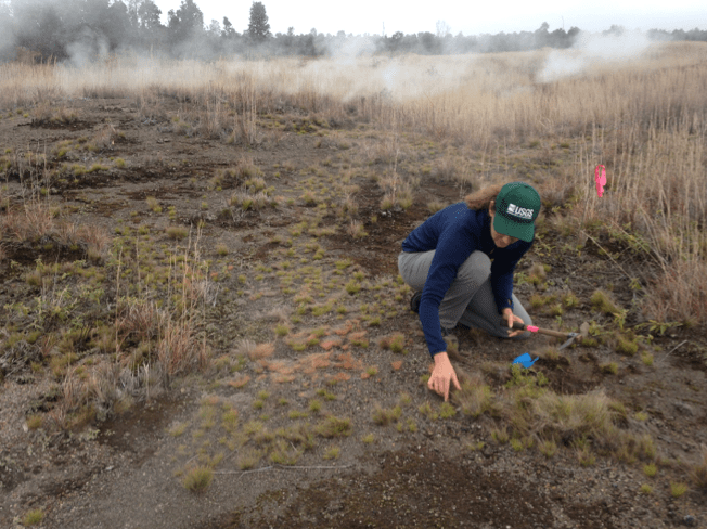 Screen Shot 2019-04-10 at 10.32.48