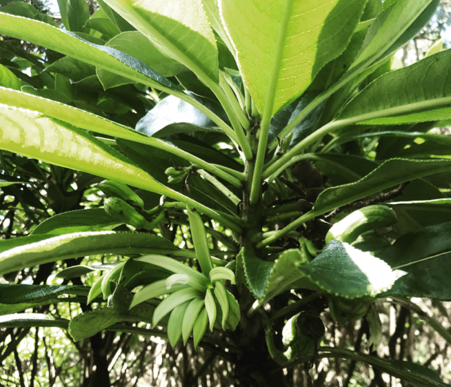 Screen Shot 2019-04-10 at 10.33.09