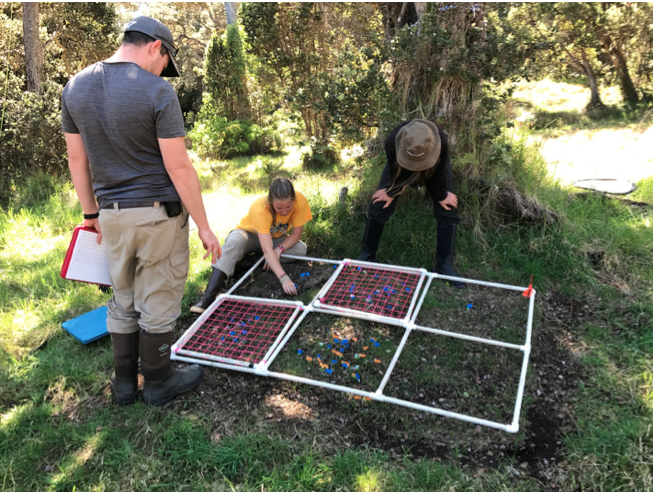 Screen Shot 2019-04-10 at 10.33.21