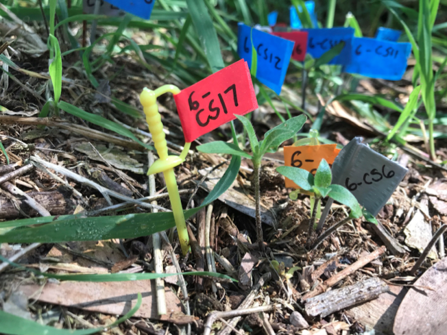 Screen Shot 2019-04-10 at 10.33.25