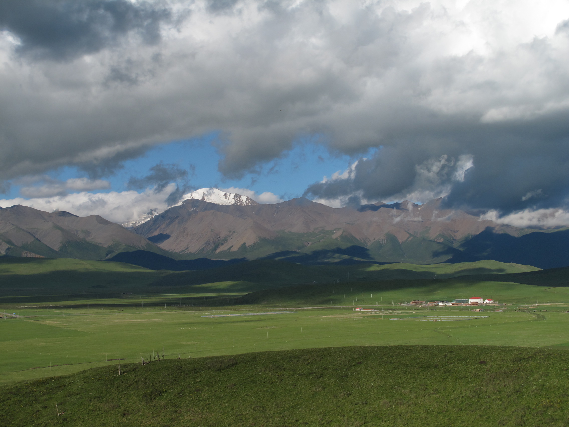 Fig7TibetGrassland