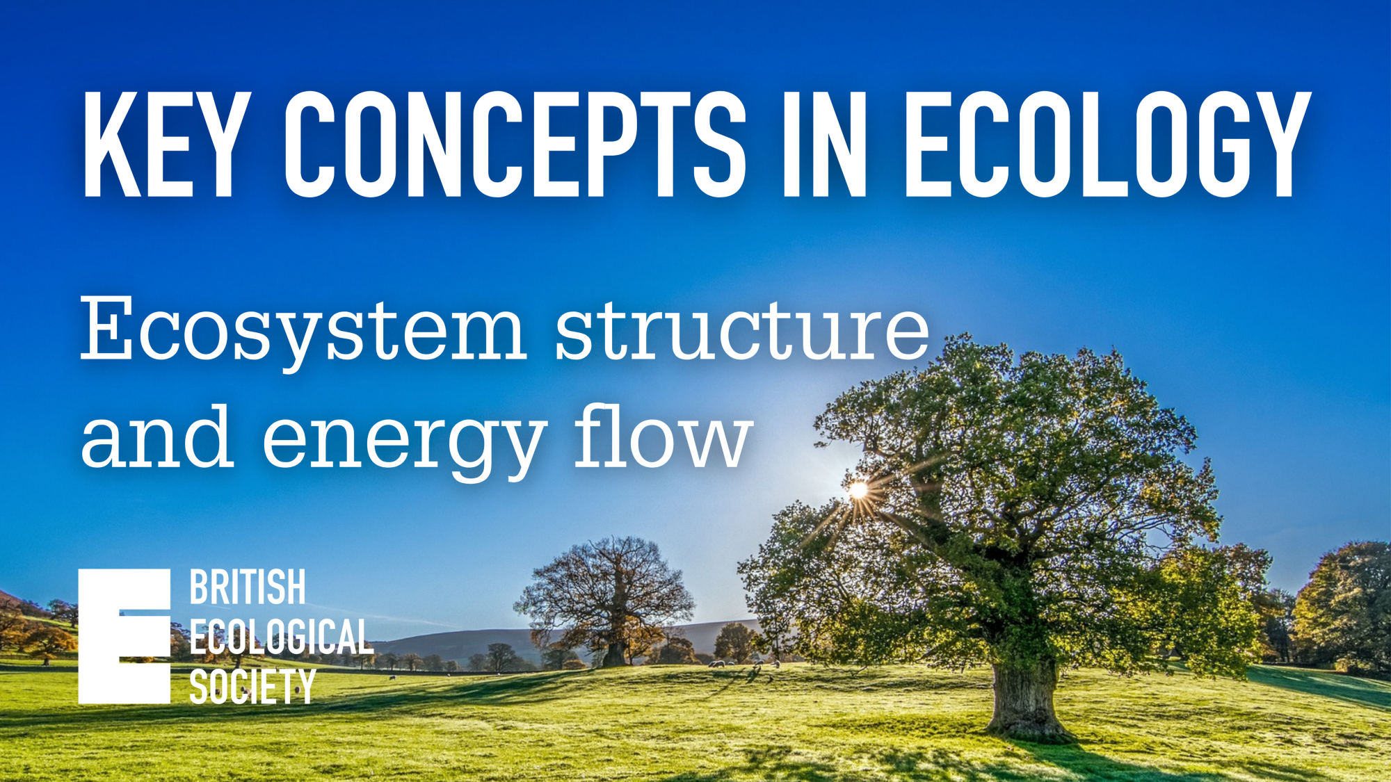 Key Concepts in Ecology: Community structure