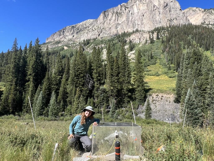 Earlier snowmelt impacts carbon cycling in montane meadows