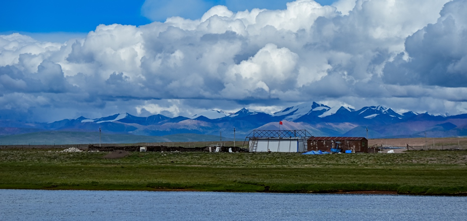 More Snow, Fewer Species: A 16-Year Story from a Tibetan Meadow