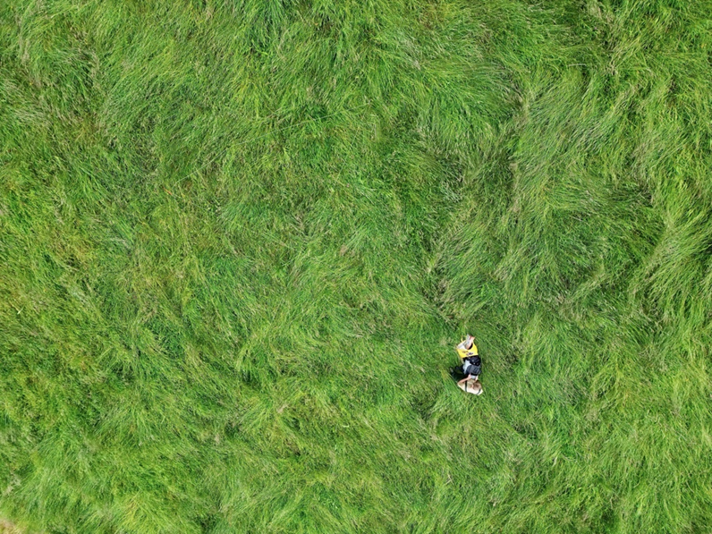 How to harmonise vegetation surveys