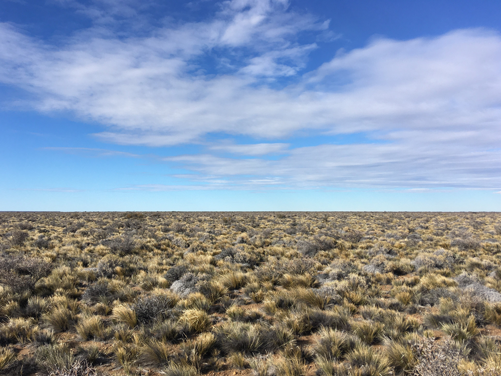 How soil nutrients modulate plant facilitation in drylands: Contrasting the roles of fertile island strength and ecosystem fertility at a global scale