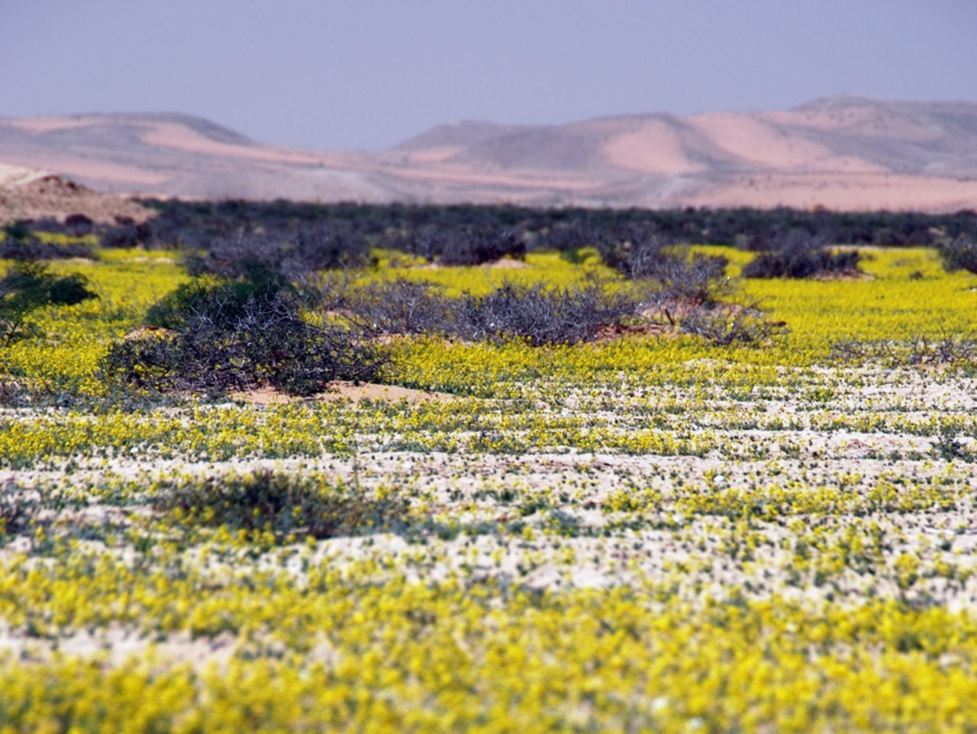 Thirteen years, three climates, one path to stability?