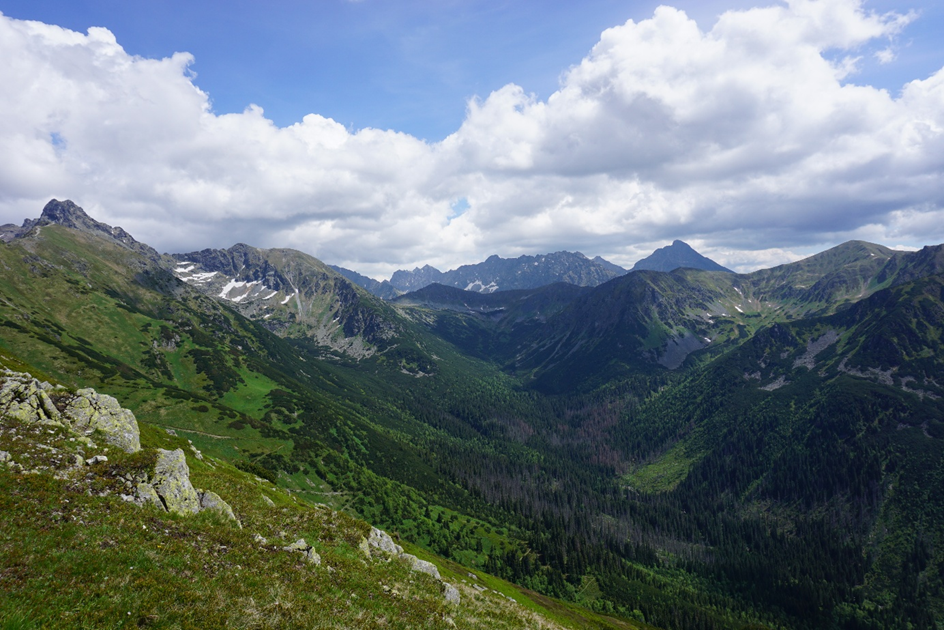 One hundred years of change in the Tatra Mountains forests: Why history matters