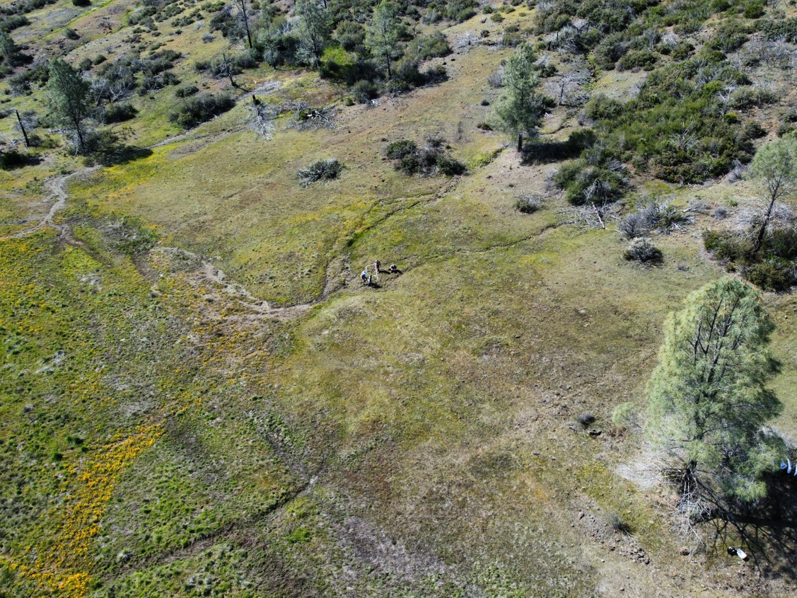Beyond species interaction networks: The hidden role of individuals in community assembly