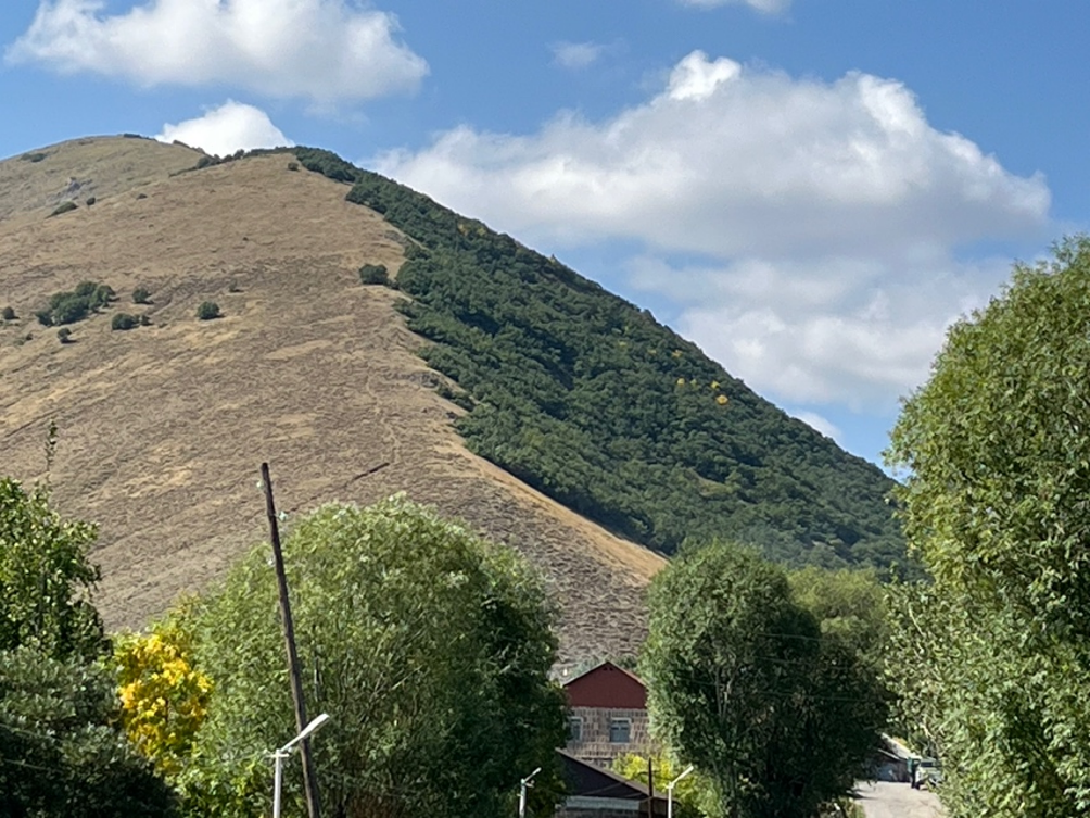 Around the hillside: How terrain offers trees a local refuge from climate change
