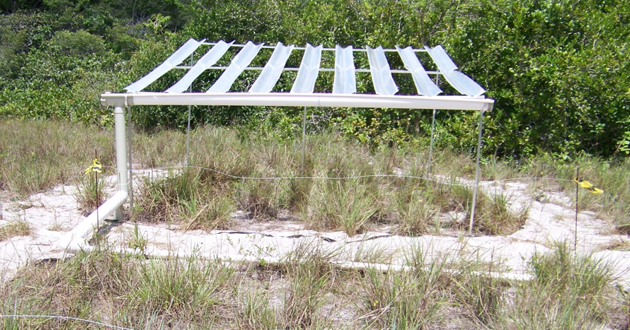 Integrating multiple hypotheses to understand grassland drought resistance