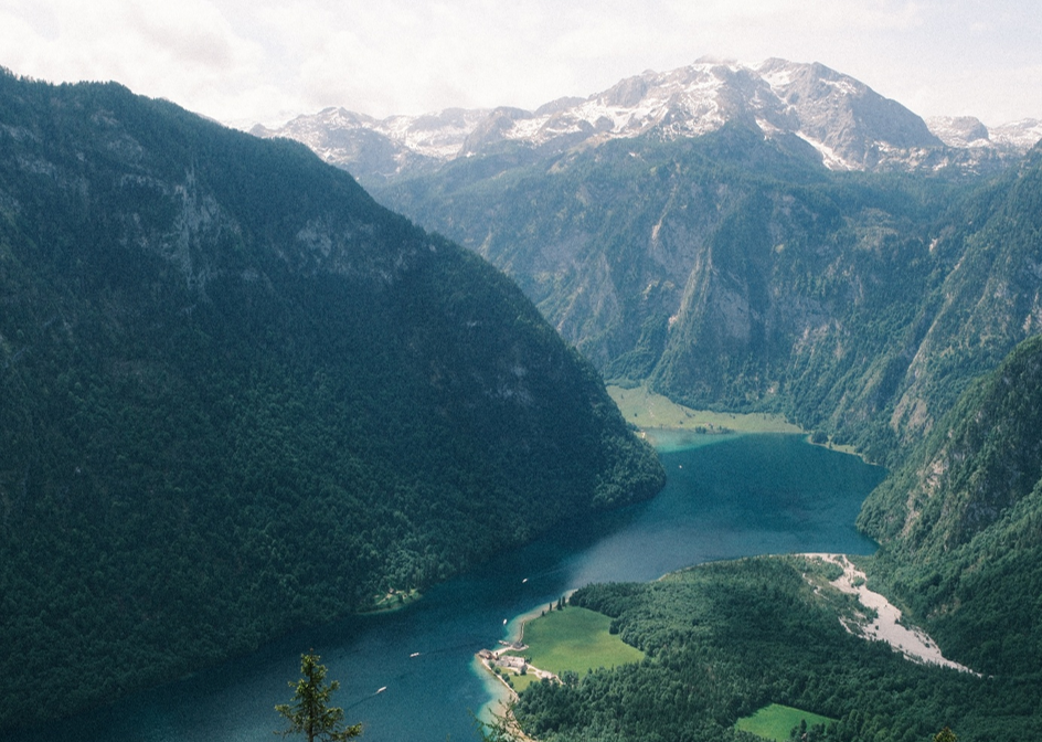 Forests remember: Why history shapes future climate refugia in the Alps